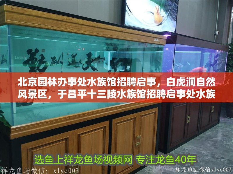 北京園林辦事處水族館招聘啟事，白虎澗自然風景區，于昌平十三陵水族館招聘啟事處水族館