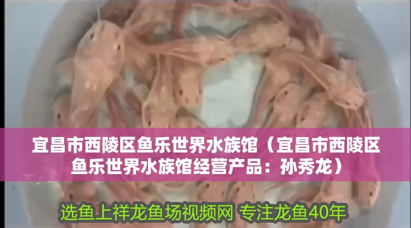 宜昌市西陵區魚樂世界水族館（宜昌市西陵區魚樂世界水族館經營產品：孫秀龍）