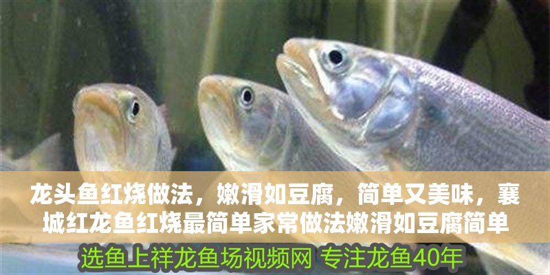 龍頭魚紅燒做法，嫩滑如豆腐，簡單又美味，襄城紅龍魚紅燒最簡單家常做法嫩滑如豆腐簡單又美味