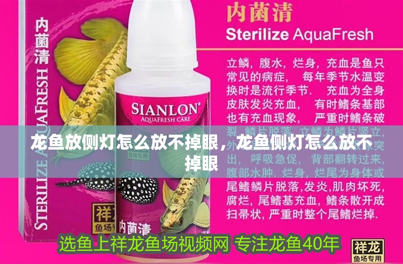 龍魚(yú)放側(cè)燈怎么放不掉眼，龍魚(yú)側(cè)燈怎么放不掉眼
