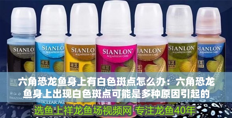 六角恐龍魚身上有白色斑點怎么辦：六角恐龍魚身上出現白色斑點可能是多種原因引起的