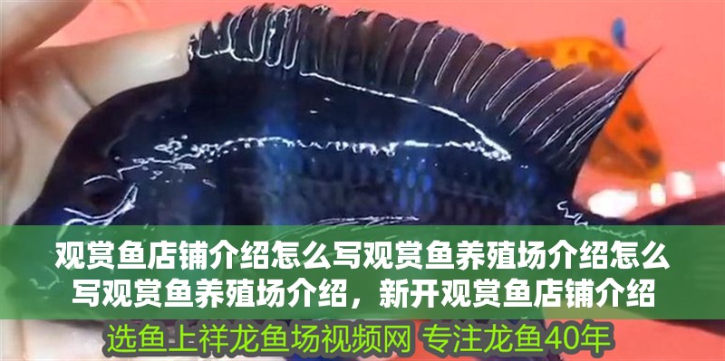 觀賞魚店鋪介紹怎么寫觀賞魚養殖場介紹怎么寫觀賞魚養殖場介紹，新開觀賞魚店鋪介紹