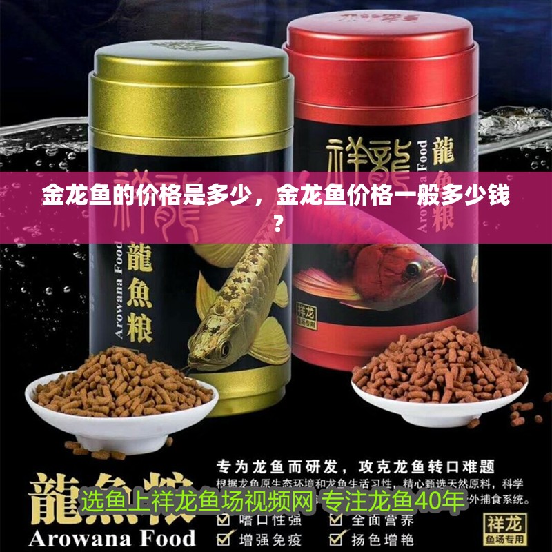 金龍魚的價格是多少，金龍魚價格一般多少錢？