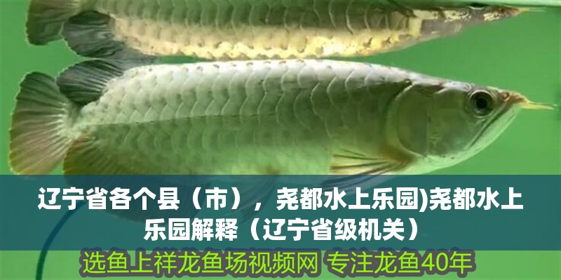 遼寧省各個縣（市），堯都水上樂園)堯都水上樂園解釋（遼寧省級機關）