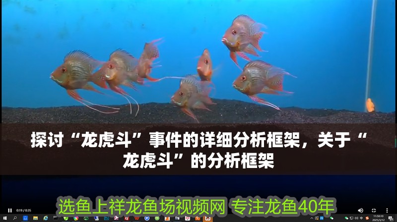 探討“龍虎斗”事件的詳細分析框架，關于“龍虎斗”的分析框架