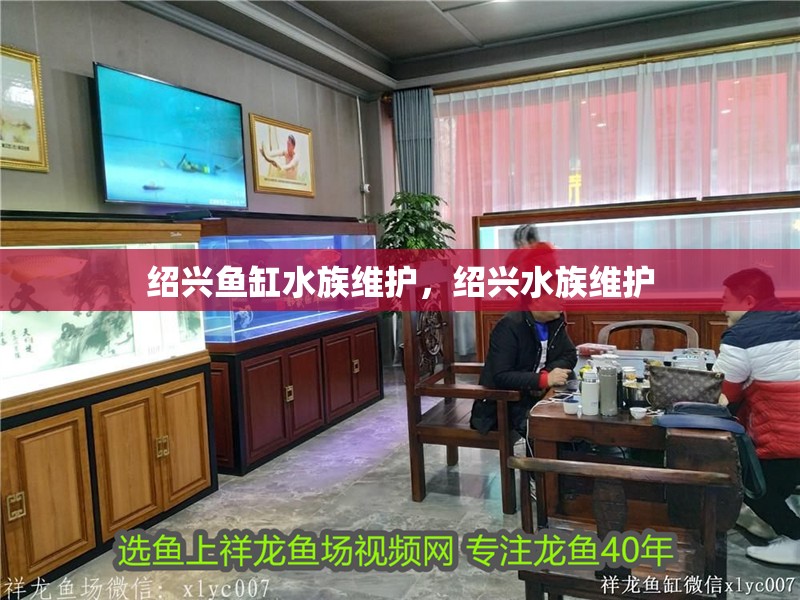 紹興魚缸水族維護，紹興水族維護