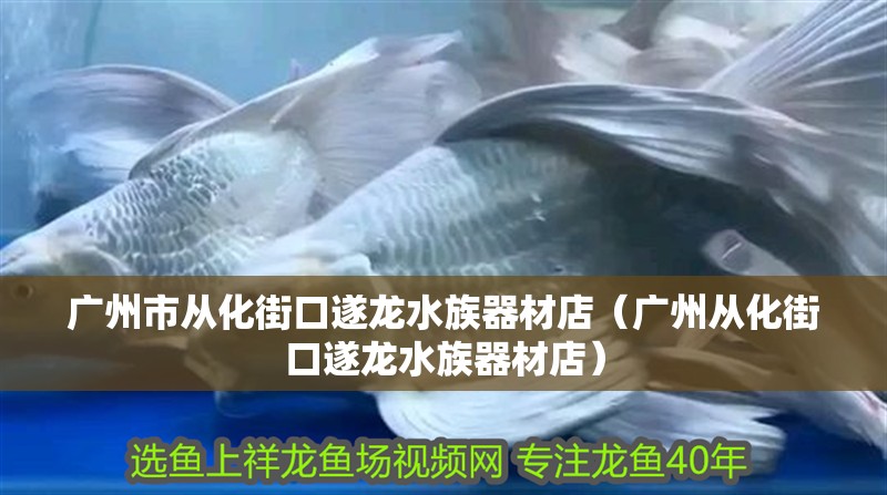 廣州市從化街口遂龍水族器材店（廣州從化街口遂龍水族器材店）