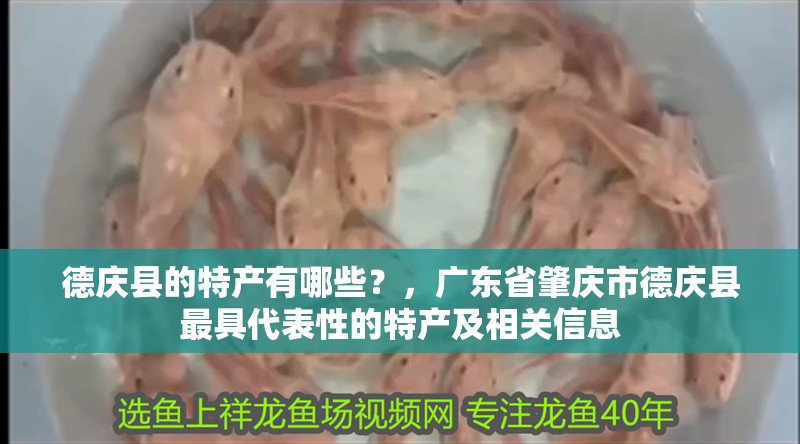 德慶縣的特產有哪些？，廣東省肇慶市德慶縣最具代表性的特產及相關信息