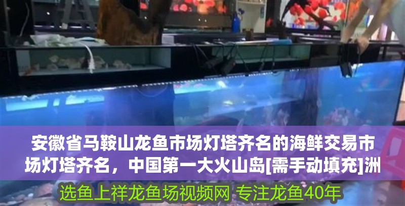 安徽省馬鞍山龍魚市場燈塔齊名的海鮮交易市場燈塔齊名，中國第一大火山島[需手動填充]洲島 安徽省馬鞍山龍魚市場燈塔齊名的海鮮交易市場燈塔齊名，中國第一大火山島[需手動填充]洲島 觀賞魚百科 第2張