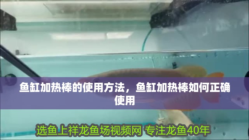 魚缸加熱棒的使用方法，魚缸加熱棒如何正確使用