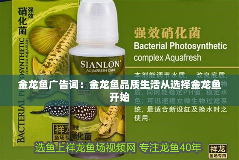 金龍魚廣告詞：金龍魚品質生活從選擇金龍魚開始