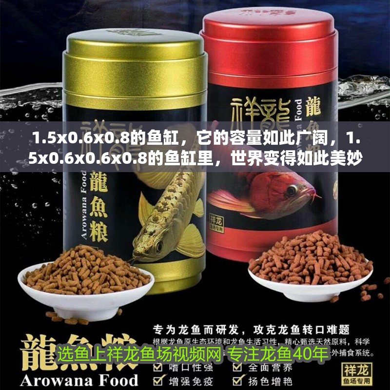 1.5x0.6x0.8的魚缸，它的容量如此廣闊，1.5x0.6x0.6x0.8的魚缸里，世界變得如此美妙