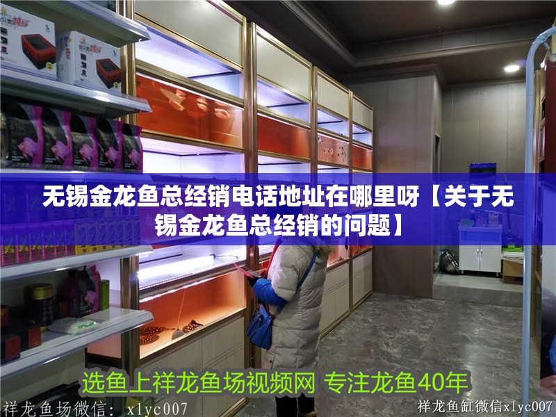 無錫金龍魚總經銷電話地址在哪里呀【關于無錫金龍魚總經銷的問題】