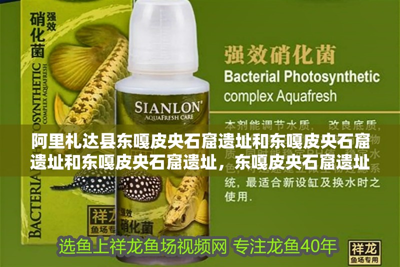 阿里札達縣東嘎皮央石窟遺址和東嘎皮央石窟遺址和東嘎皮央石窟遺址，東嘎皮央石窟遺址