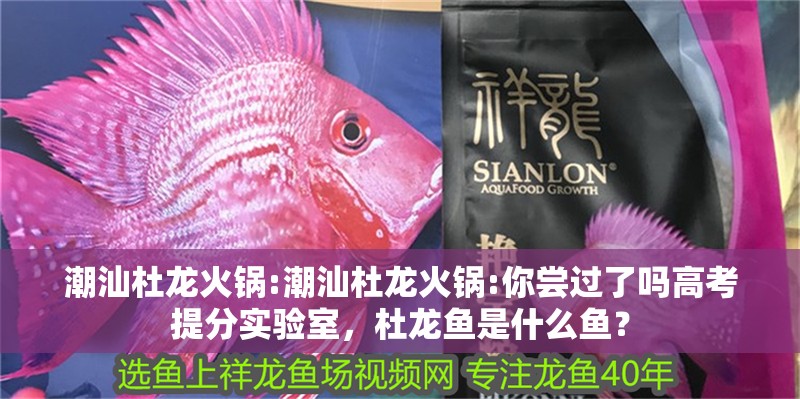 潮汕杜龍火鍋:潮汕杜龍火鍋:你嘗過了嗎高考提分實驗室，杜龍魚是什么魚？