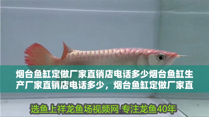 煙臺魚缸定做廠家直銷店電話多少煙臺魚缸生產廠家直銷店電話多少，煙臺魚缸定做廠家直銷店電話多少啊