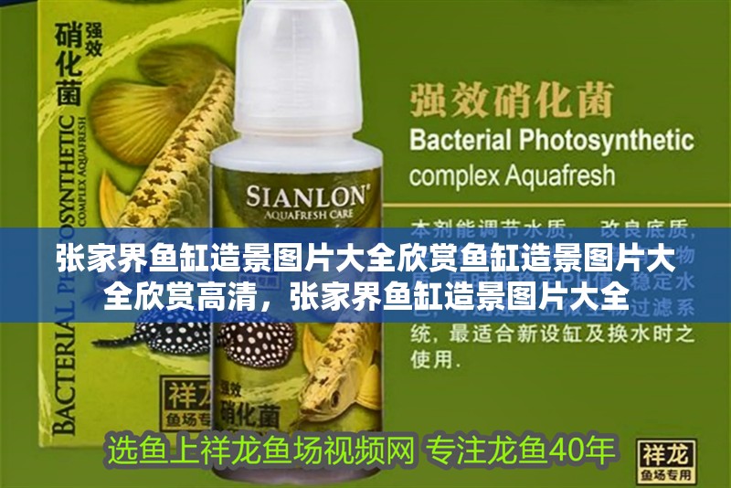 張家界魚缸造景圖片大全欣賞魚缸造景圖片大全欣賞高清，張家界魚缸造景圖片大全