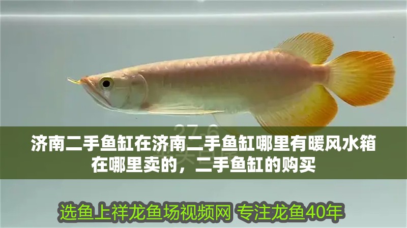 濟(jì)南二手魚缸在濟(jì)南二手魚缸哪里有暖風(fēng)水箱在哪里賣的，二手魚缸的購買