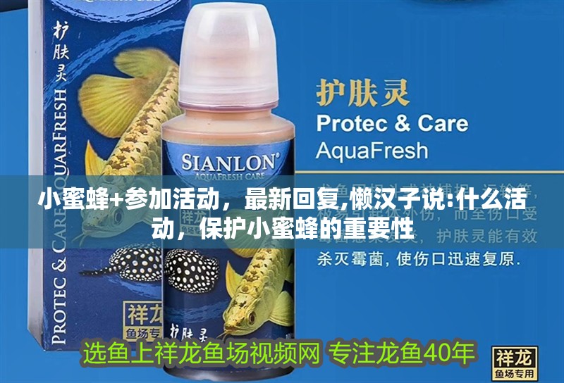 小蜜蜂+參加活動，最新回復,懶漢子說:什么活動，保護小蜜蜂的重要性