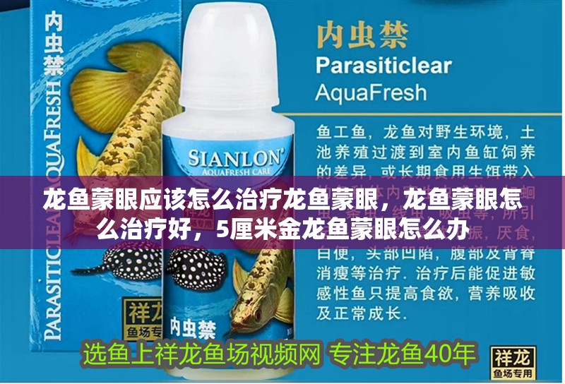 龍魚蒙眼應該怎么治療龍魚蒙眼，龍魚蒙眼怎么治療好，5厘米金龍魚蒙眼怎么辦