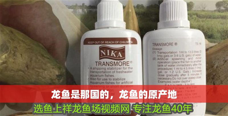 龍魚是那國的，龍魚的原產地