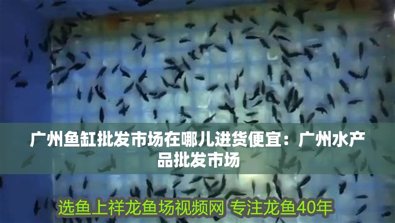 廣州魚(yú)缸批發(fā)市場(chǎng)在哪兒進(jìn)貨便宜：廣州水產(chǎn)品批發(fā)市場(chǎng)
