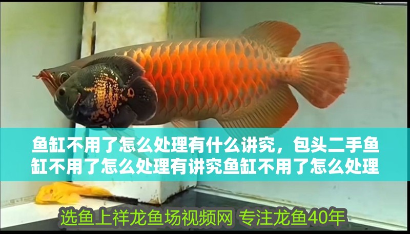 龍魚干蝦有營養嗎 魚缸不用了怎么處理有什么講究,包頭二手魚缸不用了怎么處理有講究魚缸不用了怎么處理 觀賞魚百科 魚缸不用了怎么處理有什么講究,包頭二手魚缸不用了怎么處理有講究魚缸不用了怎么處理 魚缸不用了怎么處理有什么講究,包頭二手魚缸不用了怎么處理有講究魚缸不用了怎么處理 觀賞魚百科