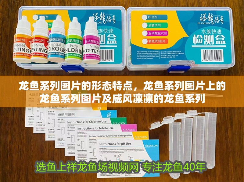 龍魚系列圖片的形態特點，龍魚系列圖片上的龍魚系列圖片及威風凜凜的龍魚系列