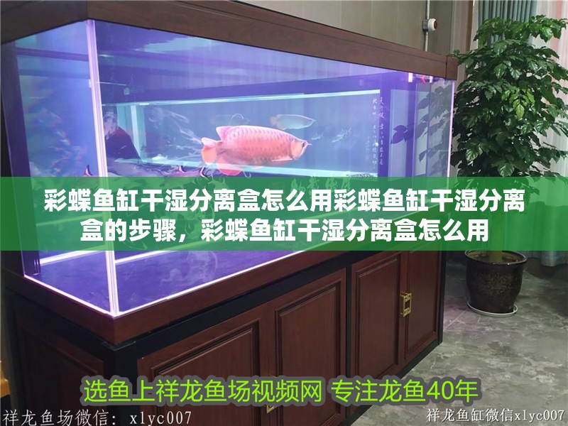 彩蝶魚缸干濕分離盒怎么用彩蝶魚缸干濕分離盒的步驟，彩蝶魚缸干濕分離盒怎么用
