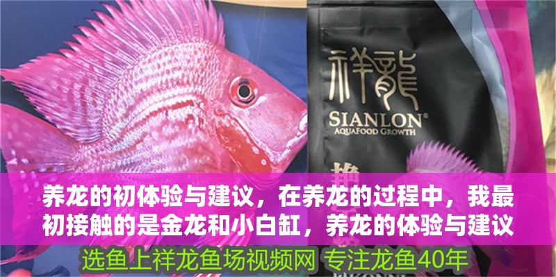 養龍的初體驗與建議，在養龍的過程中，我最初接觸的是金龍和小白缸，養龍的體驗與建議