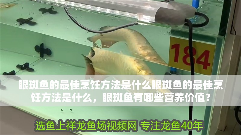 眼斑魚的最佳烹飪方法是什么眼斑魚的最佳烹飪方法是什么，眼斑魚有哪些營養價值？