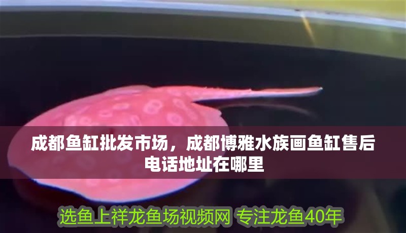 成都魚缸批發(fā)市場，成都博雅水族畫魚缸售后電話地址在哪里
