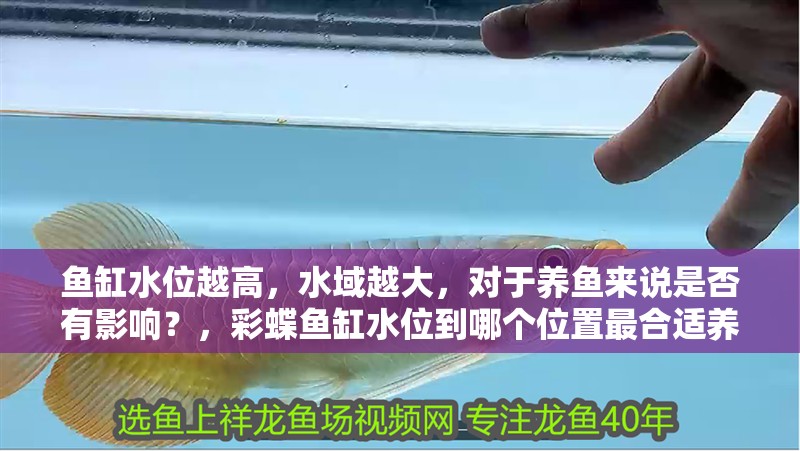 魚缸水位越高，水域越大，對于養魚來說是否有影響？，彩蝶魚缸水位到哪個位置最合適養魚，魚缸水位到哪個位置最合適