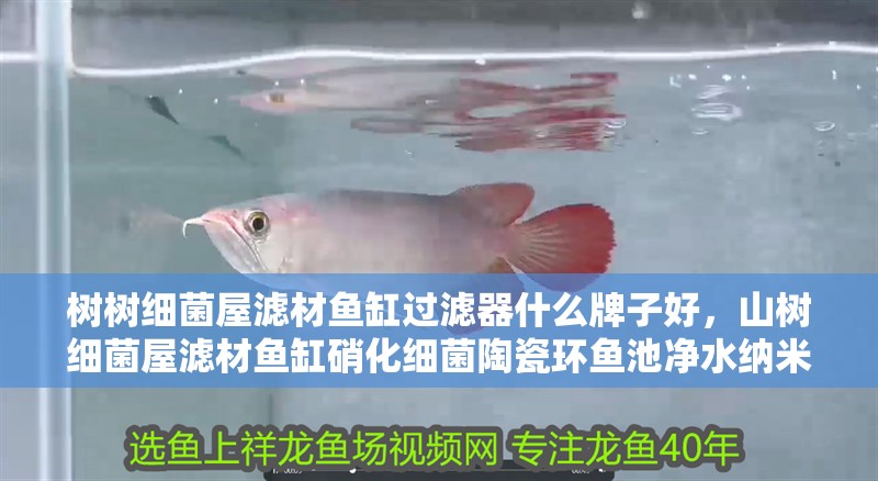 樹樹細菌屋濾材魚缸過濾器什么牌子好，山樹細菌屋濾材魚缸硝化細菌陶瓷環魚池凈水納米過濾器什么牌子 樹樹細菌屋濾材魚缸過濾器什么牌子好，山樹細菌屋濾材魚缸硝化細菌陶瓷環魚池凈水納米過濾器什么牌子 觀賞魚百科 第2張