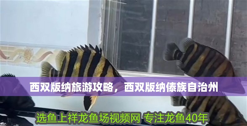 西雙版納旅游攻略，西雙版納傣族自治州