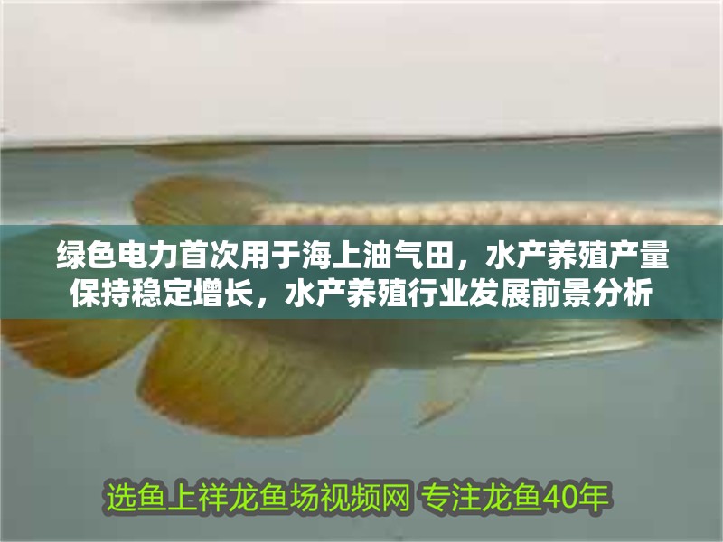 綠色電力首次用于海上油氣田，水產養殖產量保持穩定增長，水產養殖行業發展前景分析