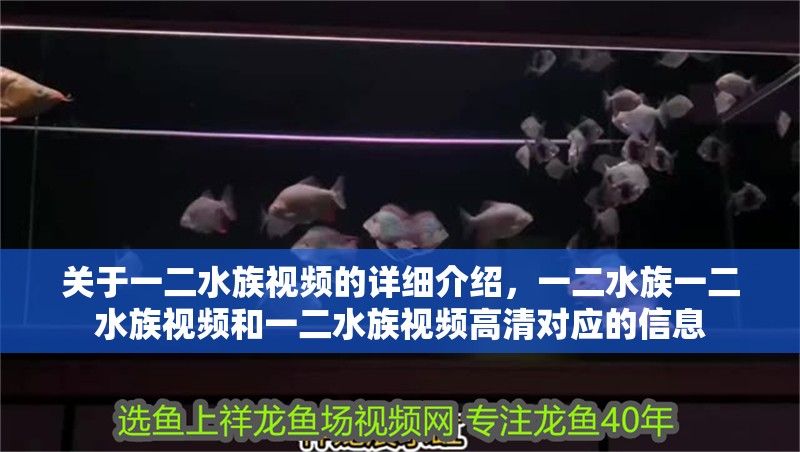 關(guān)于一二水族視頻的詳細(xì)介紹，一二水族一二水族視頻和一二水族視頻高清對應(yīng)的信息