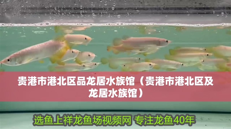 貴港市港北區(qū)品龍居水族館（貴港市港北區(qū)及龍居水族館）