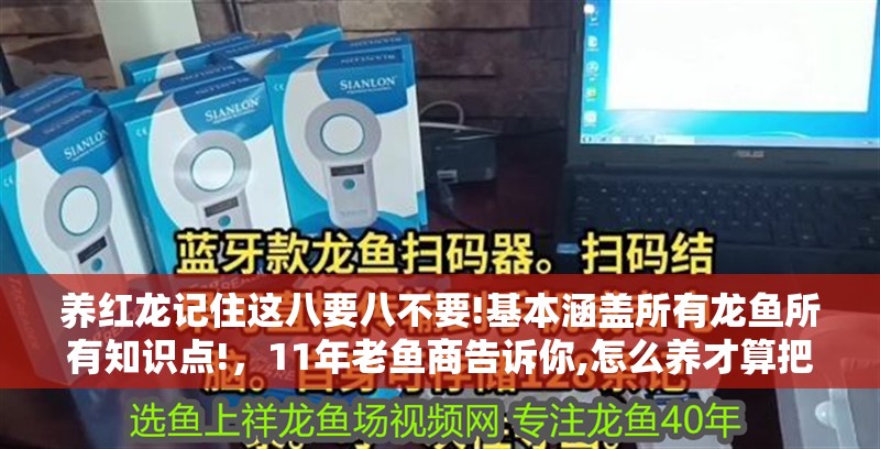 養紅龍記住這八要八不要!基本涵蓋所有龍魚所有知識點!，11年老魚商告訴你,怎么養才算把錢花在了刀刃上