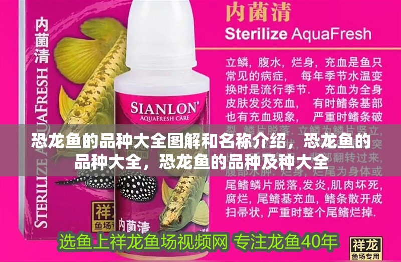 恐龍魚的品種大全圖解和名稱介紹，恐龍魚的品種大全，恐龍魚的品種及種大全