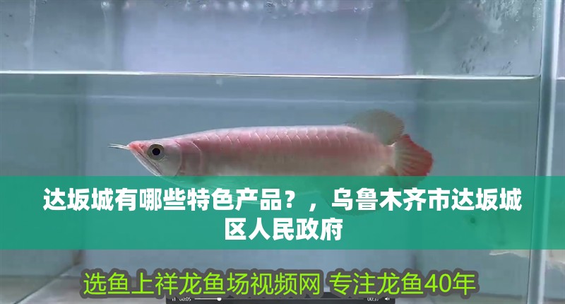 達坂城有哪些特色產品？，烏魯木齊市達坂城區人民政府
