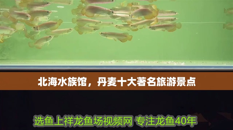 北海水族館，丹麥十大著名旅游景點