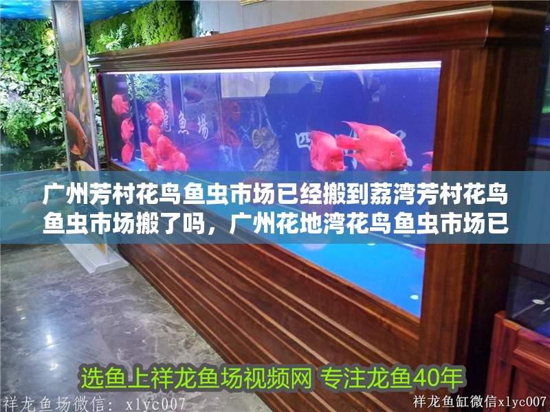 廣州芳村花鳥魚蟲市場已經(jīng)搬到荔灣芳村花鳥魚蟲市場搬了嗎，廣州花地灣花鳥魚蟲市場已經(jīng)搬到廣州花鳥博覽園內(nèi)