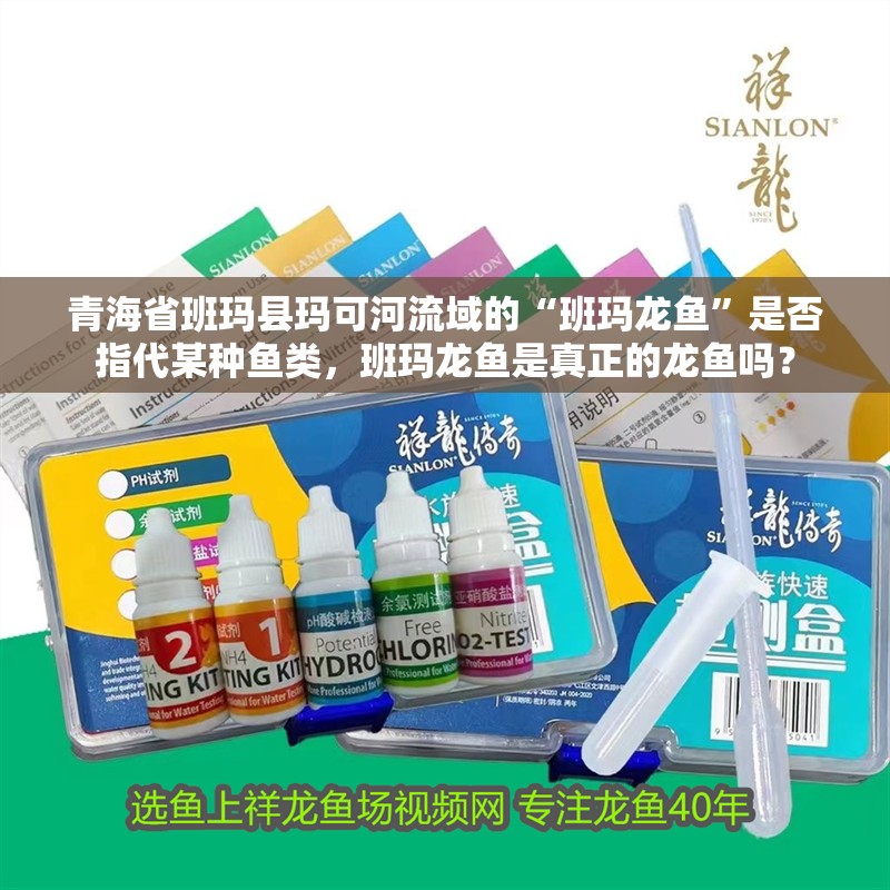 青海省班瑪縣瑪可河流域的“班瑪龍魚”是否指代某種魚類，班瑪龍魚是真正的龍魚嗎？