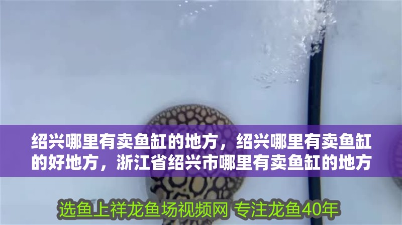 紹興哪里有賣魚缸的地方，紹興哪里有賣魚缸的好地方，浙江省紹興市哪里有賣魚缸的地方