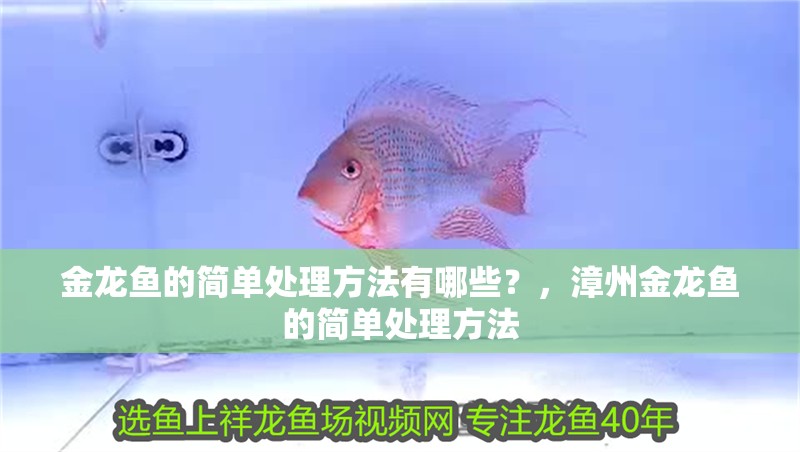 金龍魚的簡單處理方法有哪些？，漳州金龍魚的簡單處理方法