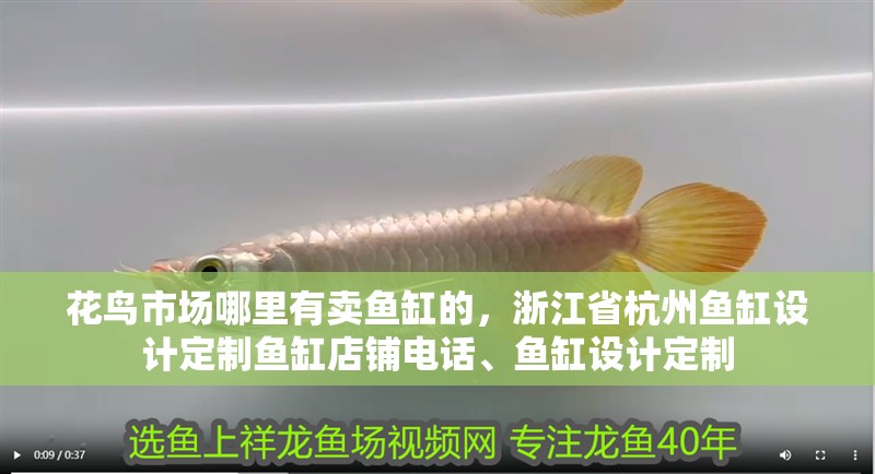 花鳥市場哪里有賣魚缸的，<strong><mark>浙江</mark></strong>省杭州魚缸設(shè)計(jì)定制魚缸店鋪電話、魚缸設(shè)計(jì)定制