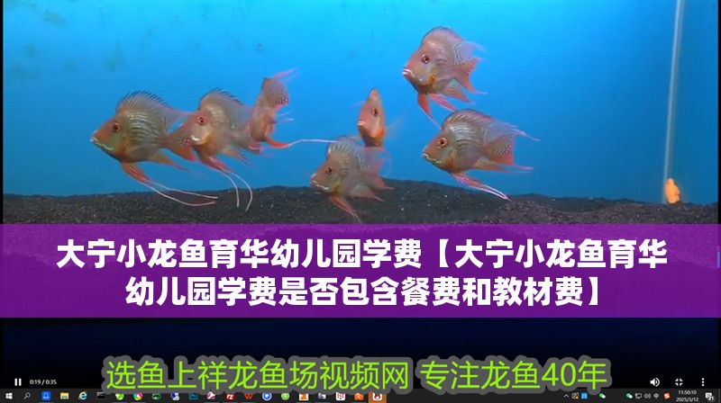 大寧小龍魚育華幼兒園學費【大寧小龍魚育華幼兒園學費是否包含餐費和教材費】