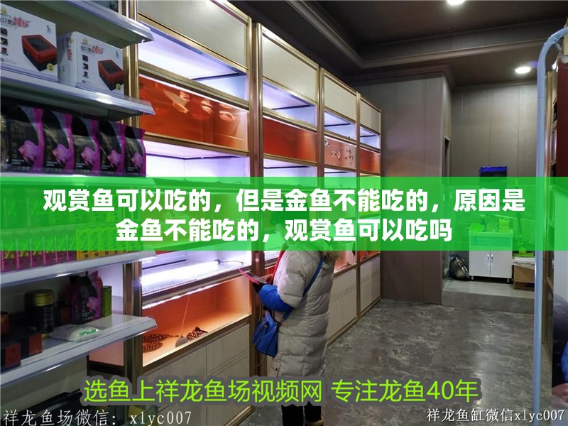 觀賞魚可以吃的，但是金魚不能吃的，原因是金魚不能吃的，觀賞魚可以吃嗎