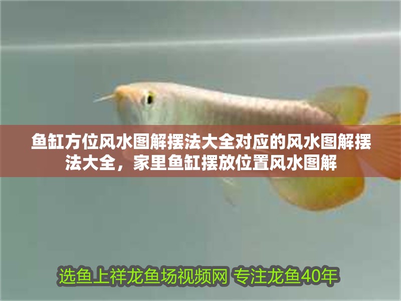 魚缸方位風(fēng)水圖解擺法大全對應(yīng)的風(fēng)水圖解擺法大全，家里魚缸擺放位置風(fēng)水圖解